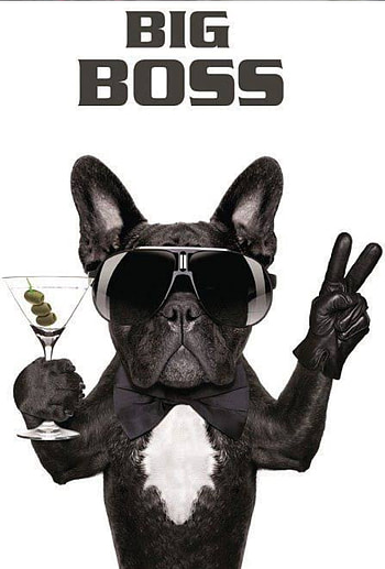 Big boss, 12, 13, 14, 15, 16, 17, 18, 19, 20, 10 HD phone wallpaper