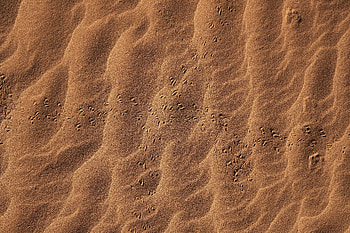 Sand, Desert, Texture, Textures, Traces HD wallpaper