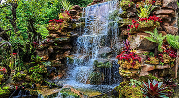 Waterfall in park, greenery, waterfall, cascades, beautiful, flowers, spring, park, exotic, garden, rocks HD wallpaper