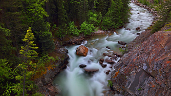 Astoria River, Jasper NP, Alberta, trees, canadawaterfall, forest, rocks, landscape HD wallpaper