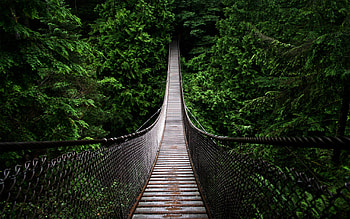 1000 bridge , Beautiful backgrounds HD wallpaper
