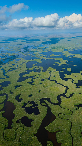 Wetland aerial view, Everglades National Park, Florida, USA HD phone wallpaper