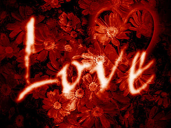 Great love, great, feelings, love, red, passion HD wallpaper