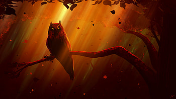 Owl I See You, owl, deviantart, artist, artwork, digital-art HD wallpaper
