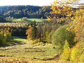autumn scenery, fall, trees, autumn, colours, nature HD wallpaper