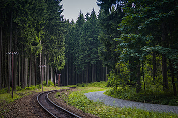 Railway, Nature, Trees, Forest HD wallpaper
