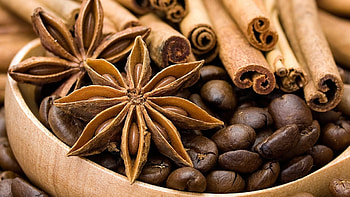 Coffee , Caffeinated , Coffee lover's paradise, Beans and brews HD wallpaper