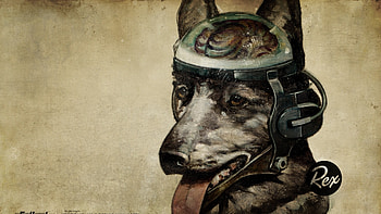 Preview fallout, quote, dog, look HD wallpaper
