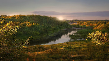 Nature, Trees, Grass, Sun, Dawn, Shore, Shine, Light, Forest, Morning, Shrubs, Shores, Awakening HD wallpaper