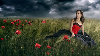 Beauty in the Field, model, flowers, field, woman HD wallpaper