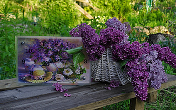 basket, lilacs, purple, flowers HD wallpaper