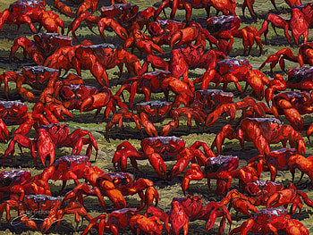 Crabs, summer, crab, art, fantasy, red, artem chebokha, beach, vara HD wallpaper