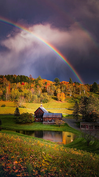 Rainbow, Beautiful Rainbow HD phone wallpaper