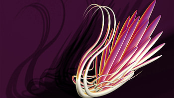 Abstract, Form, Plexus, Swan, Figures, Figurines HD wallpaper