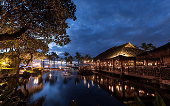 Cities, Sea, Night, Palms, Shine, Light, Hawaii HD wallpaper