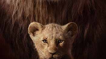 The Lion King Key Art , the-lion-king, lion, 2019-movies, movies, disney, simba HD wallpaper
