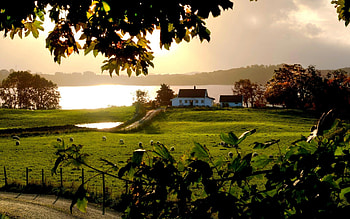 Farm – Live Farm HD wallpaper