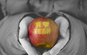 Apple, Words, Hands, Confession HD wallpaper
