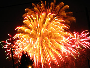 Fireworks, night, plumage, light, explosions, colors, sky, dark HD wallpaper
