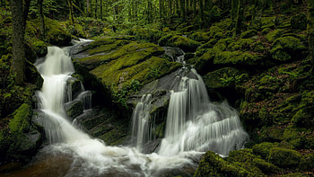 Waterfall in the Auvergne, France, trees, cascades, river, rocks, landscape HD wallpaper