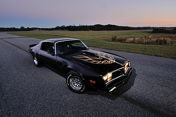Pontiac, Cars, Firebird, 1978 HD wallpaper
