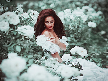 model, lady, graphy, beauty HD wallpaper