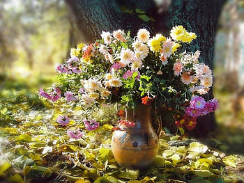 Nature, graphy, colors, , flowes, outside, abstract, grapher, artist, chrysanthemums, different, ceramics, art, vase, tree, still life, leaves HD wallpaper