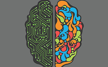 Brain, Geek HD wallpaper