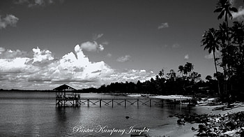 Pantai Kampung Jangkit, nature, jangkit, fishing, beach HD wallpaper