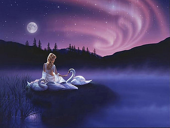 Painting art, night, colorful, magic, color, beautiful, beauty, fields, northlight, swan, splendor, lovely HD wallpaper