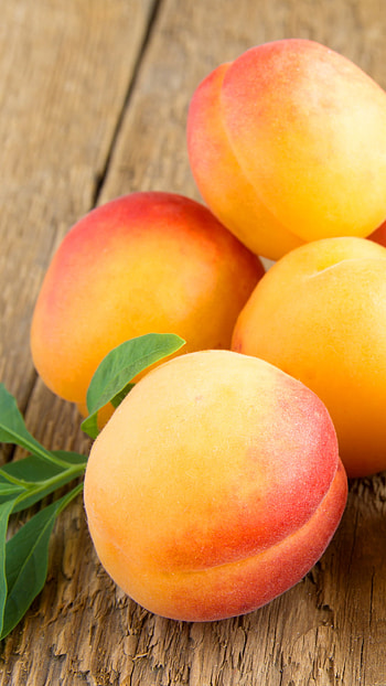 Apricot, Juicy fruit, Vibrant color, Sweet taste HD phone wallpaper