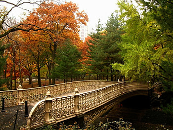 Autumn, bridge, trees, beautiful HD wallpaper