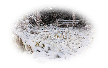 Snowy, winter, bench, white, landscape, popular, cold, sesons, park, snow, trees, nature, ice HD wallpaper