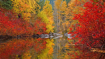 Landscape, Nature, Autumn HD wallpaper