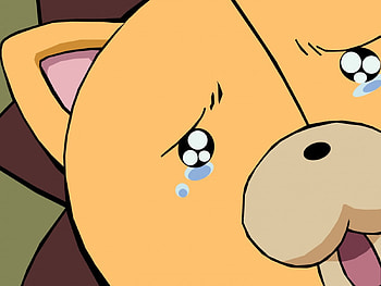Kon, bleach HD wallpaper