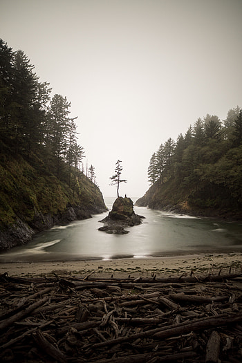 Nature, Trees, Shore, Bank, Island, Bay HD phone wallpaper