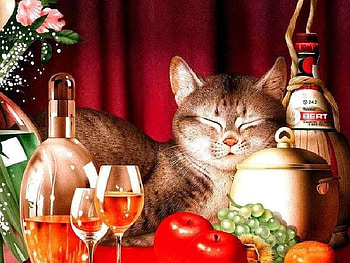 Contentment, glasses, fruit, cat, flowers, pot, bottle, wine HD wallpaper