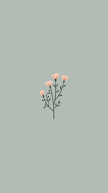 Aurore Gille on BackGround in 2021. Cute simple , Simple wallpap. Cute simple , Simple , Flower , Cute Simple Flower HD phone wallpaper