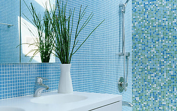 Plant, Miscellanea, Miscellaneous, Vase, Bathroom HD wallpaper