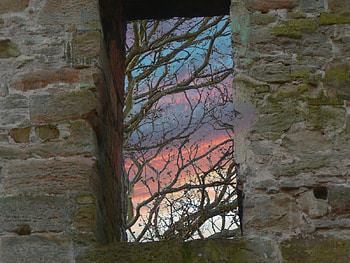 Old window, nature, windows HD wallpaper