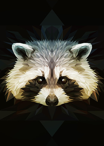 Geometric Animal, Ryuk rabbit raccoon, Low poly artistic representation HD phone wallpaper