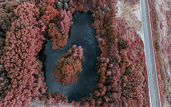 beautiful lake, top view, aerial view, lake top view, evening, red trees, spring, lake HD wallpaper