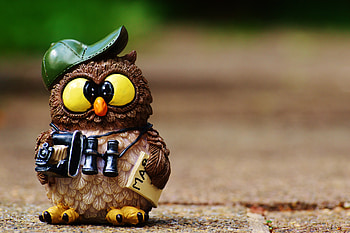 Owl, Miscellanea, Miscellaneous, Statuette, Cap, Binoculars HD wallpaper