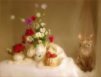 Can I Go Now, table, pretty, sugar bowl, strawberries, coffee pot, cat, flowers, milk jug HD wallpaper
