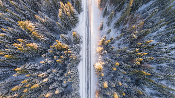 Winter, Nature, Trees, View From Above, Road HD wallpaper