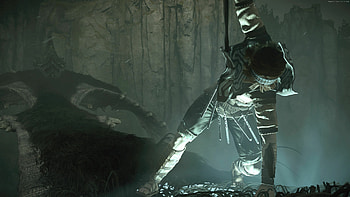 Shadow of the Colossus, Sequel speculation, Colossal battles, PlayStation adventure HD wallpaper