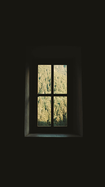 Trees, Dark, Wall, Window, Room HD phone wallpaper