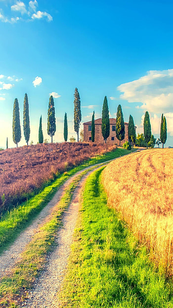 Autumn in Tuscany, Beautiful landscapes, Italian countryside, Tourism spot HD phone wallpaper