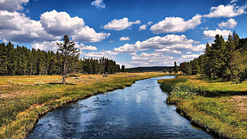 Grizzly River, river, grizzly, clouds, trees, nature, forest HD wallpaper