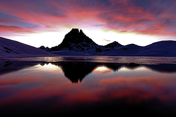 Nature, Sunset, Pink, Vertex, Top, Silhouette HD wallpaper